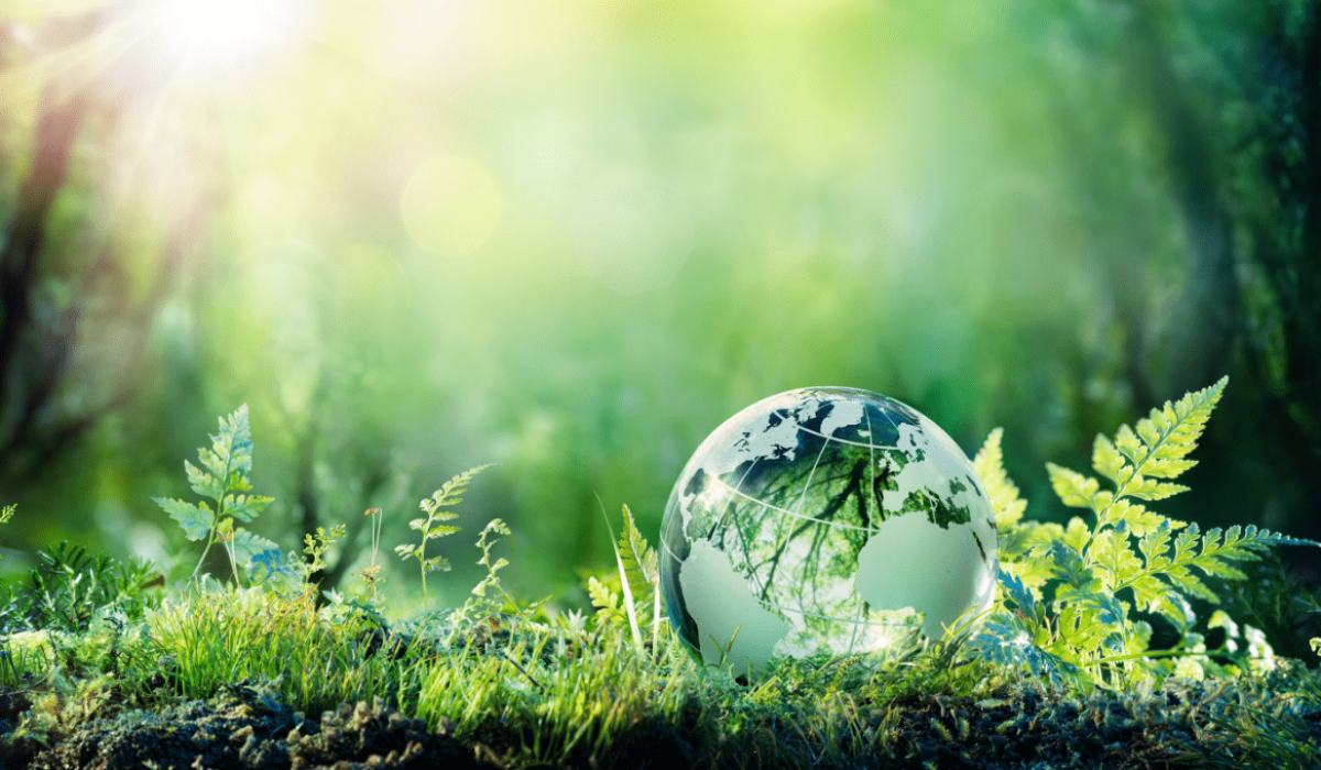Un globo de cristal transparente se encuentra en un bosque exuberante