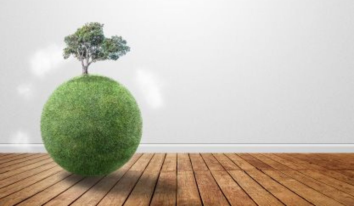 Protege el medioambiente protegiendo a tu empresa