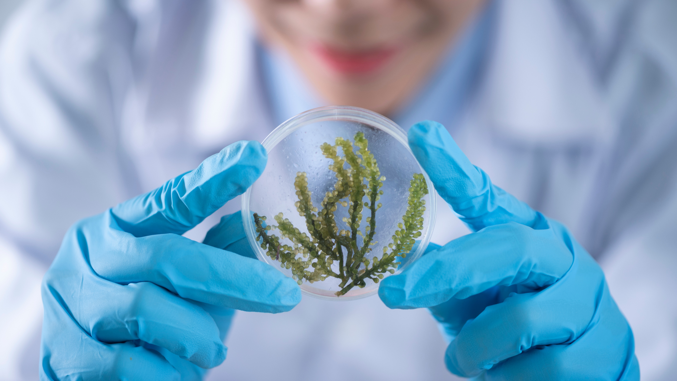 Asegurarse ante una reclamación en Life Science, ensayos clínicos, laboratorios, proteger profesionales de laboratorios