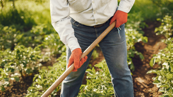 Trabajador arreglando el jardín