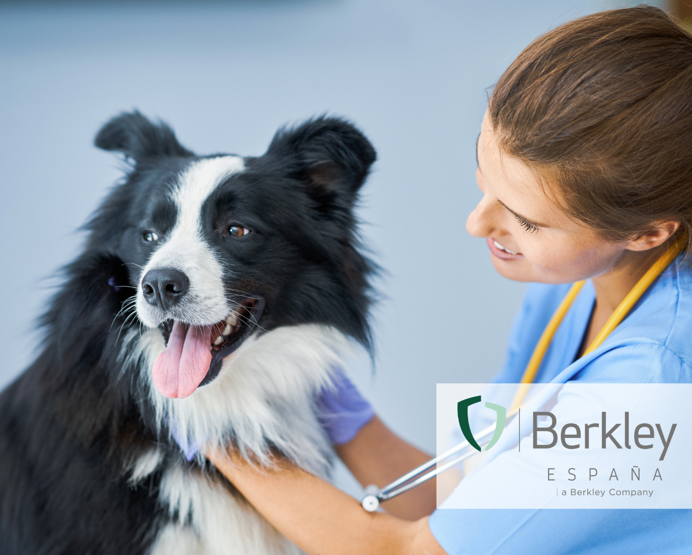 Veterinaria abrazando a un perro en su clínica